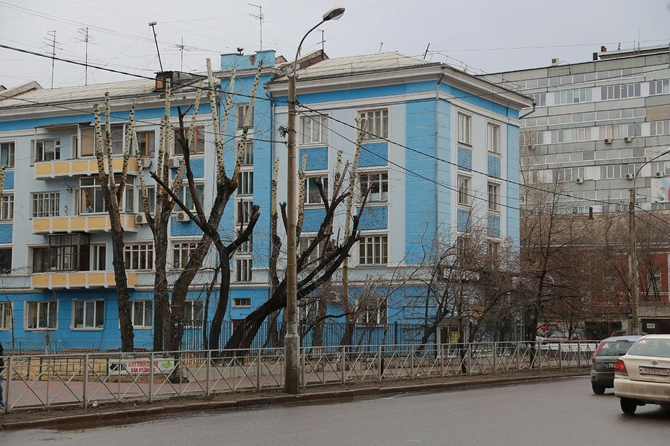 В Красноярске с начала года обрезали почти 11 тысяч деревьев