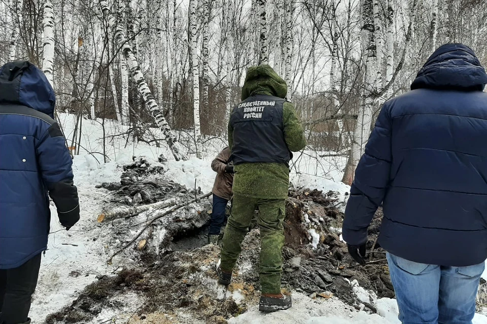 В Красноярске разыскивают тело ребенка, погибшего от укуса собаки полгода назад. Фото: СК Росии