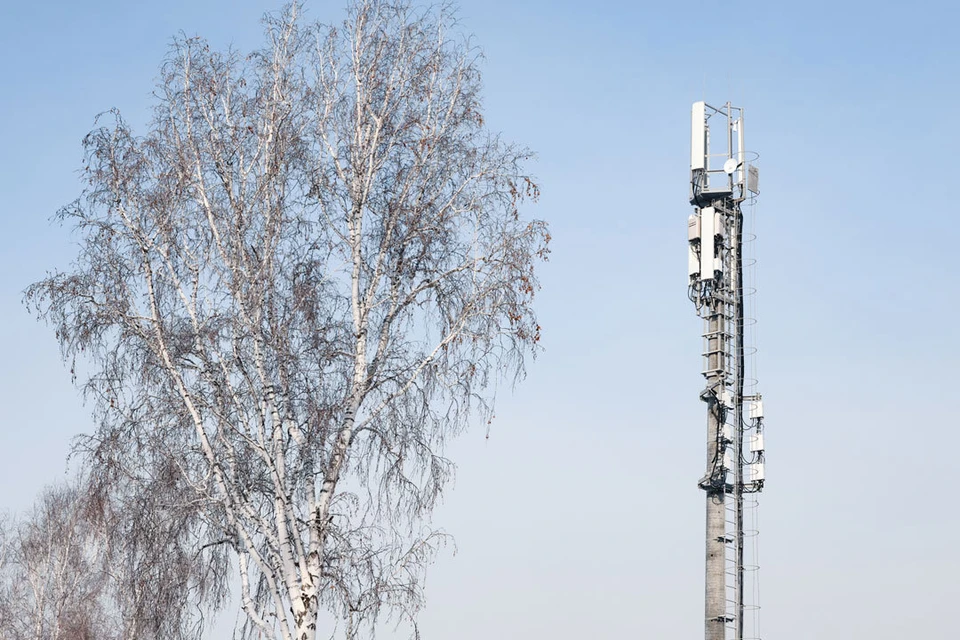 Фото предоставлено отделом по работе со СМИ макрорегиона «Сибирь» Tele2.