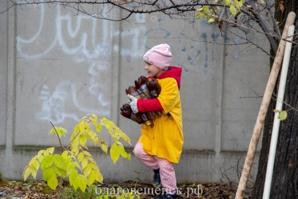 Фото: admblag.ru