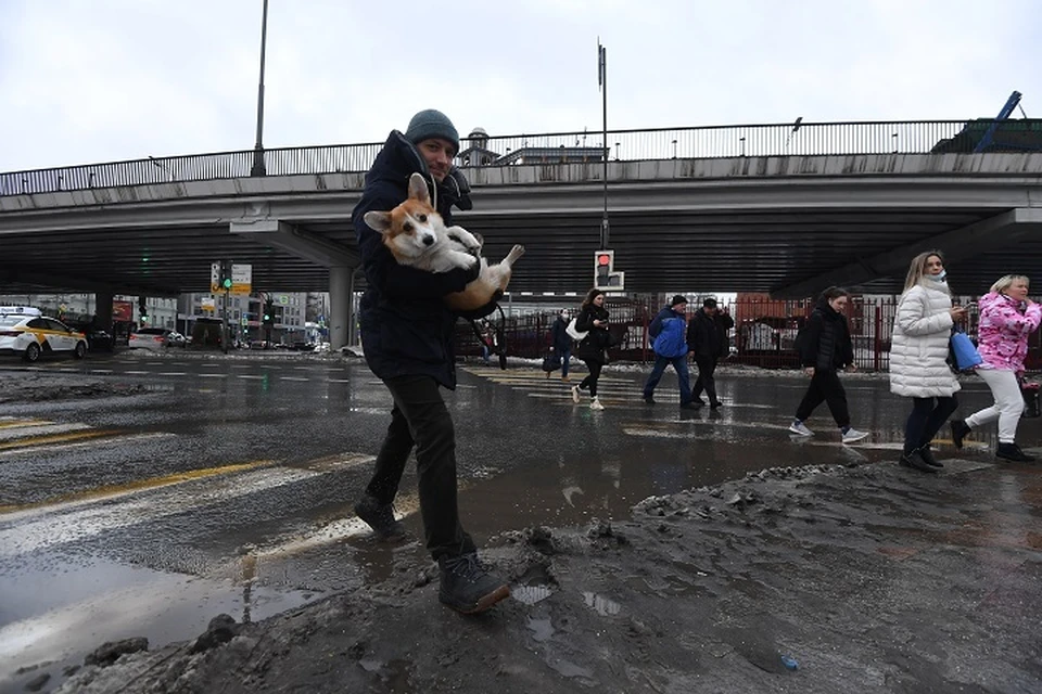 В воскресенье в Кузбассе будет от +2 до +12 градусов