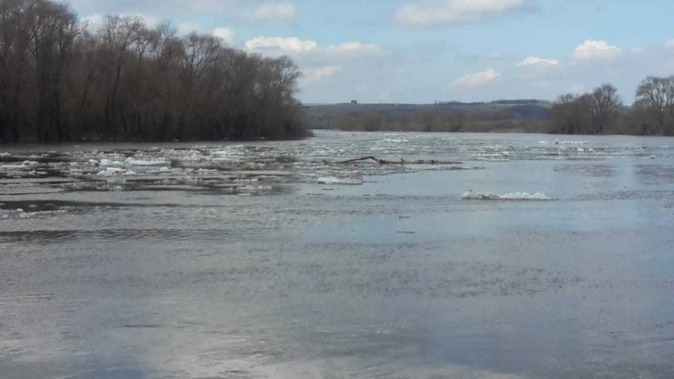 Разлив реки Дон в Шилово