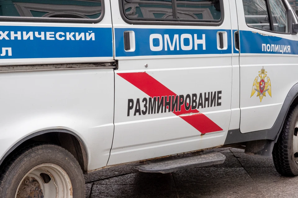Бомбы искали в трех бизнес-центрах Петербурга.