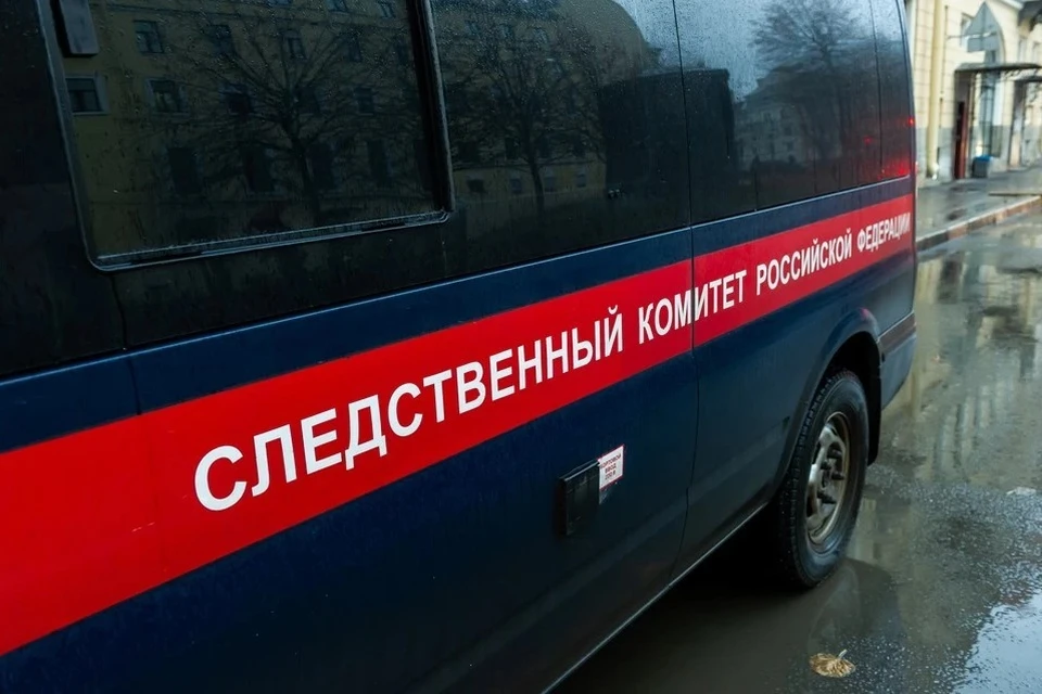 Следователи считают, что ребенка убили или просто оставили на улице