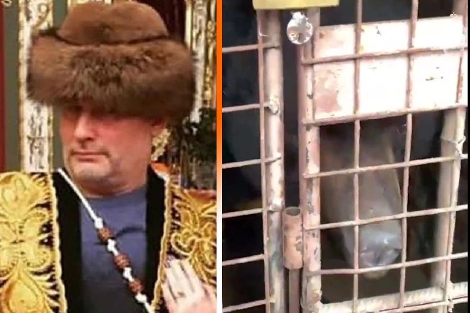 Медведей из личного зоопарка Барданова переправили в Тульскую область.