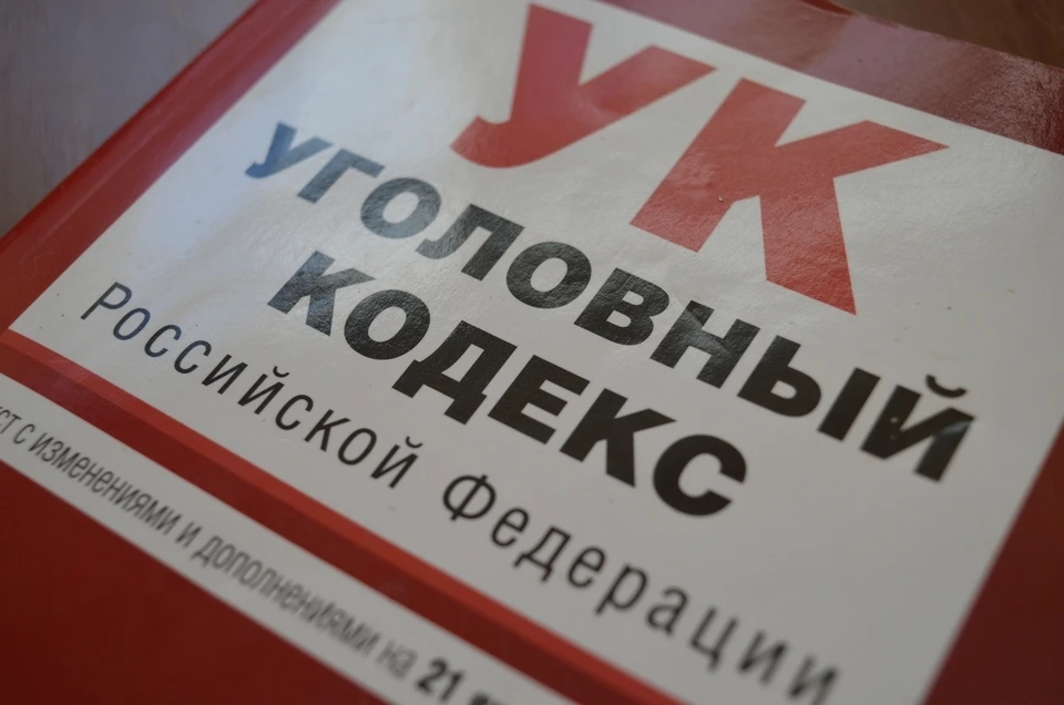 Еще 9 уголовных дел о мошенничестве по нацпроекту возбуждены в Орловской области