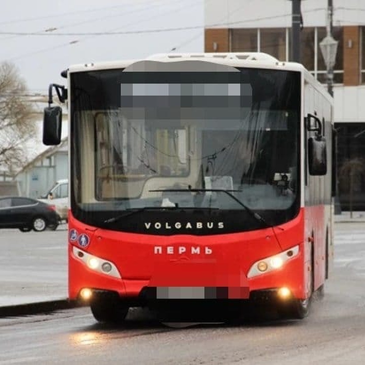 В Перми за два месяца больше 3000 человек не оплатили проезд в транспорте  без кондуктора - KP.RU