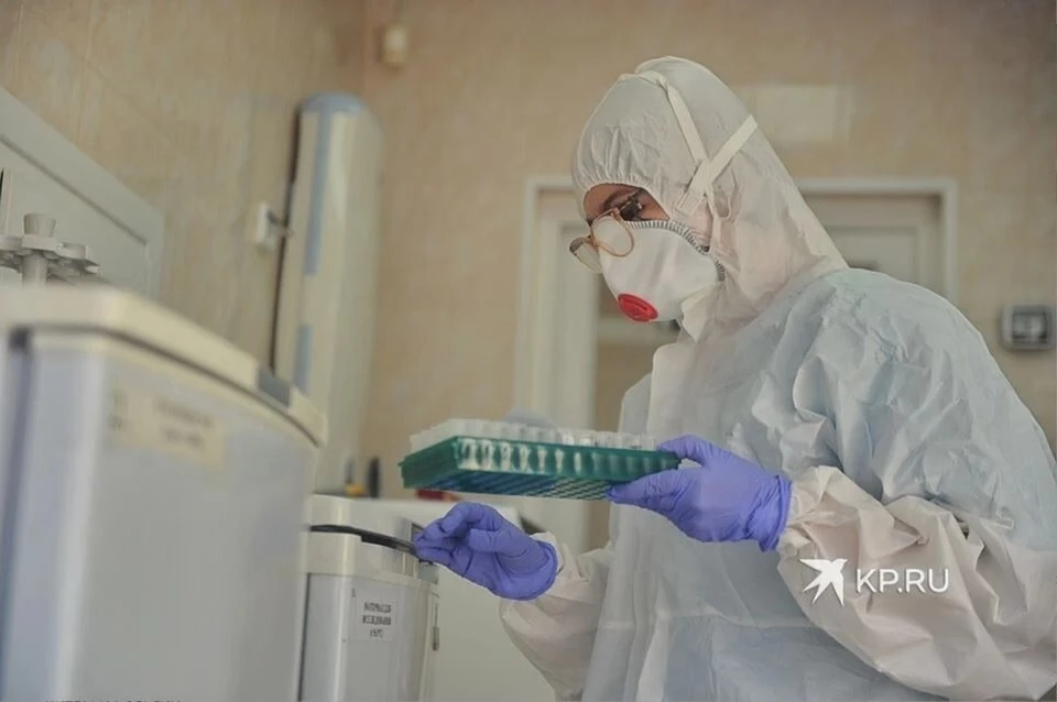 За сутки лаборатории обследовали на коронавирус 2654 человека