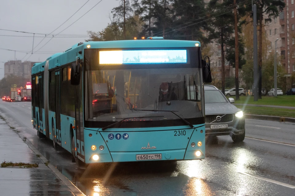 Дополнительные автобусы вышли на линию в Петербурге.