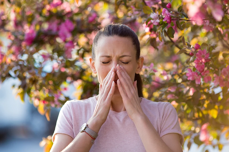 Большое количество пыльцы в воздухе часто приводит к обострению бронхиальной астмы, хронической обструктивной болезни легких и поллиноза