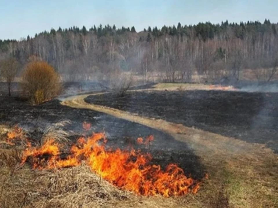 Пал травы весной. МЧС Ярославской области пал травы. Ландшафтный пожар. Весенний пал травы. Палы сухой травы.