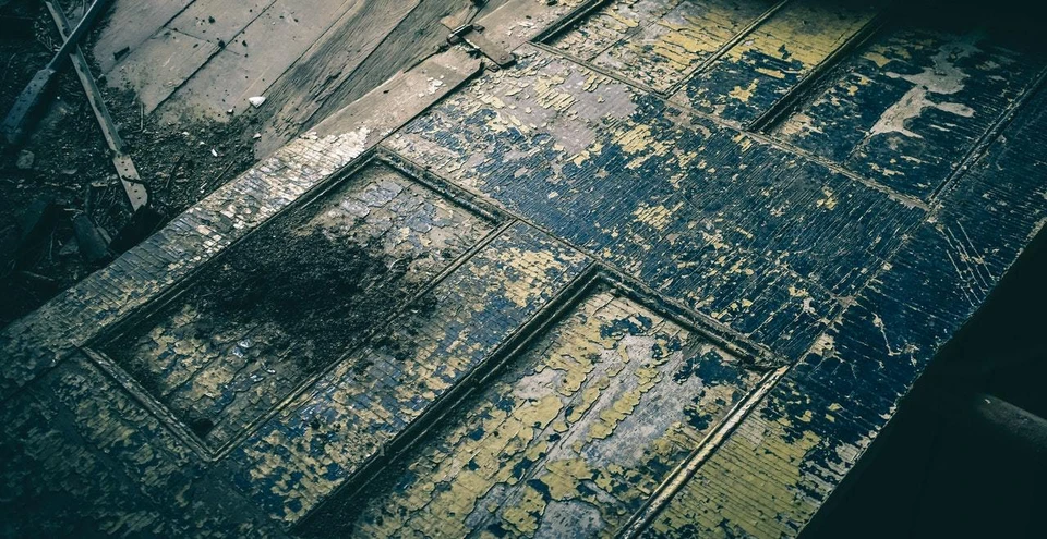 Фото: pexels.com