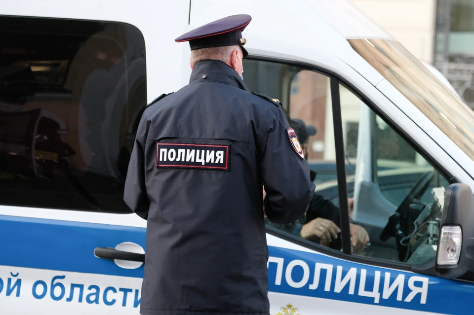 Полицию разыскивает петербурженку, ударившую школьницу на детской площадке