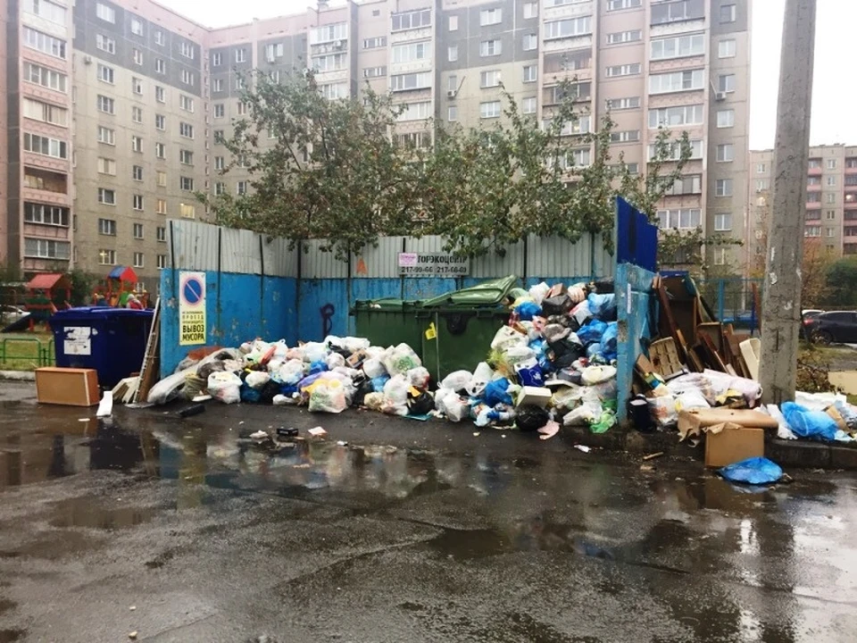 Из-за мусорного коллапса пришлось даже вводить режим ЧС. Фото: читатель КП