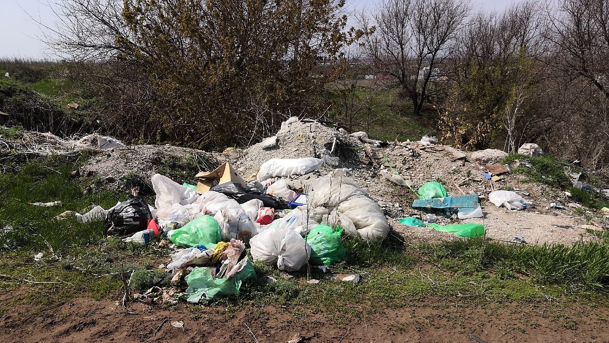 По полям разбросан мусор и сливают канализацию»: жители поселка под Самарой  отчаялись избавиться от незаконной свалки - KP.RU