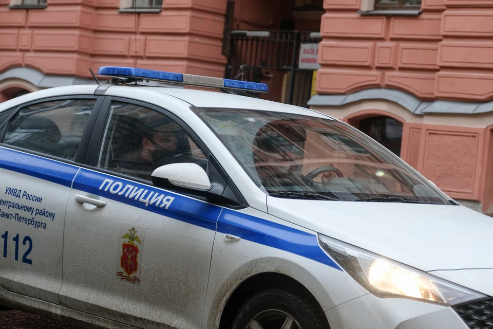 Скелетированный труп мужчина нашли в заброшенном детском лагере в Ленобласти