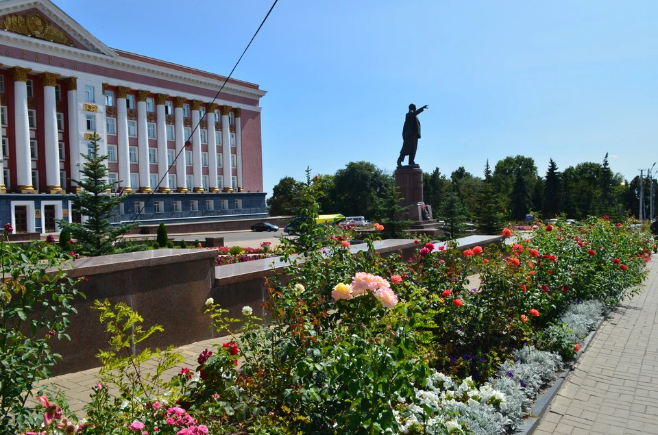 Региональные власти прокомментировали ситуацию со сносном ворот на улице Белинского