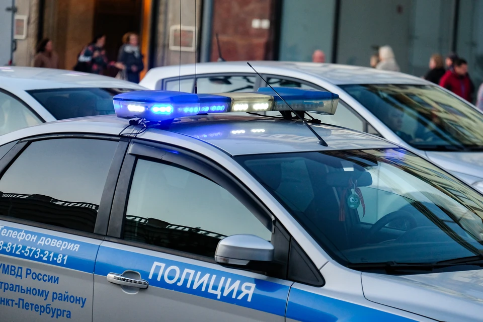 Судимый уроженец Сургута устроил поножовщину в Невском районе Петербурга.