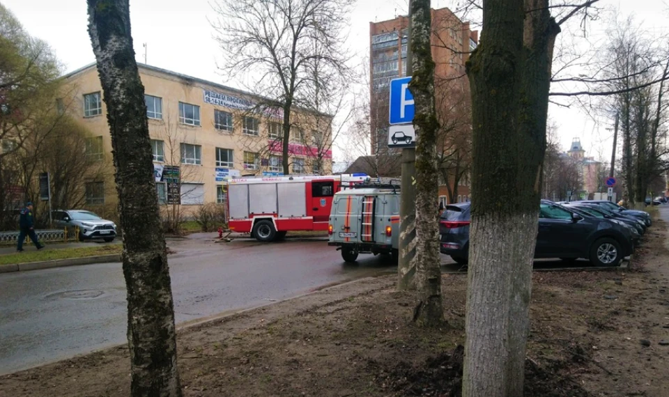 Фото: Полина Жиглинская