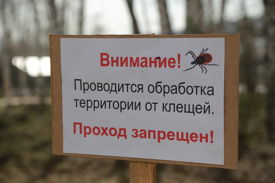 Парки от клещей начнут обрабатывать на следующей неделе.