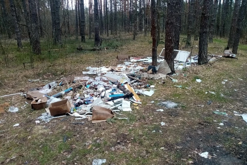 Фото: Общественный экологический контроль.