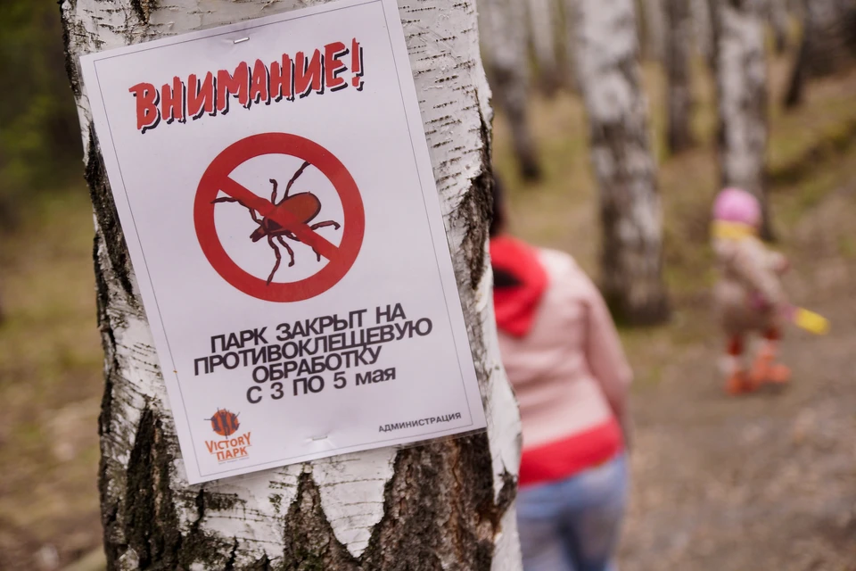 Стоимость страховых полисов варьируется от 200 до 390 рублей