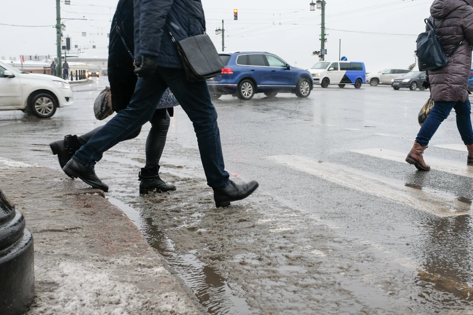 Дождь и прохлада ждут Петербург 28 апреля