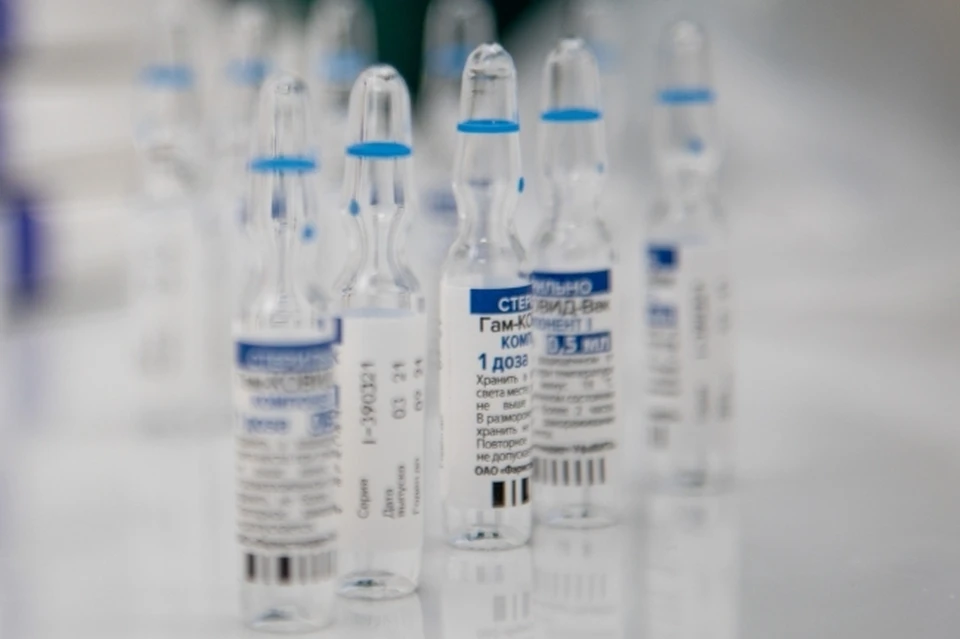Турция получит внушительную партию российской вакцины от коронавируса "Спутник V"