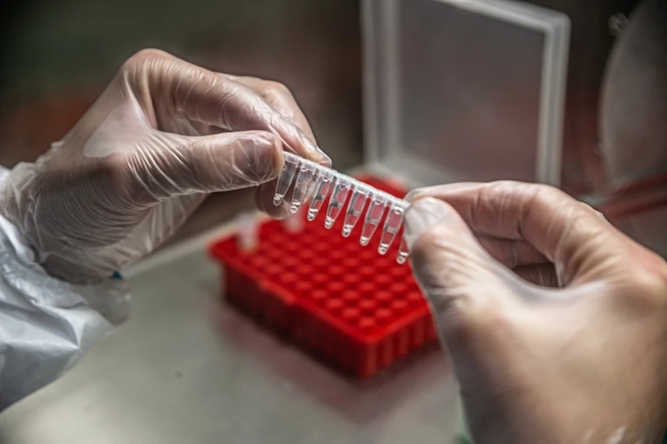 Швейцарские ученые создали тест на антитела к коронавирусу по капле крови