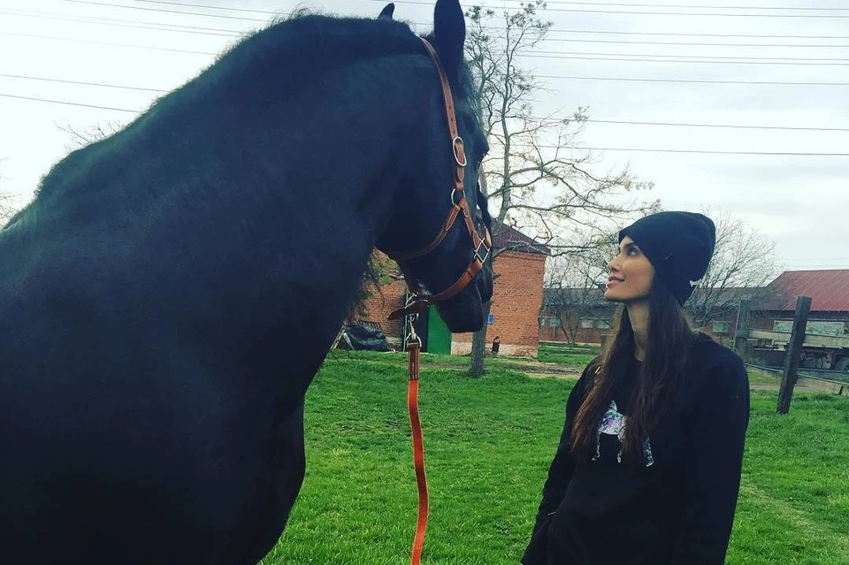 Конь Златан появился у Аланы Мамаевой в 2014 году. Фото: instagram.com/alana_mamaeva