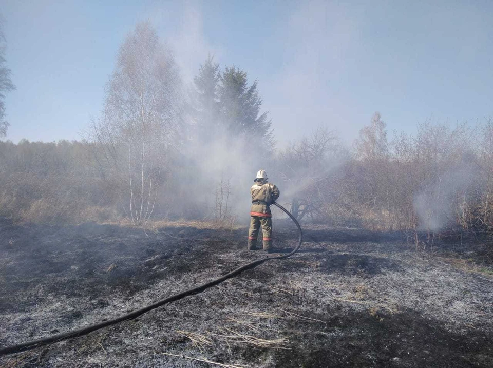 В садоводческом товаришестве «Кедр» сгорели пять домов. Фото: ГУ МЧС России по Омской области