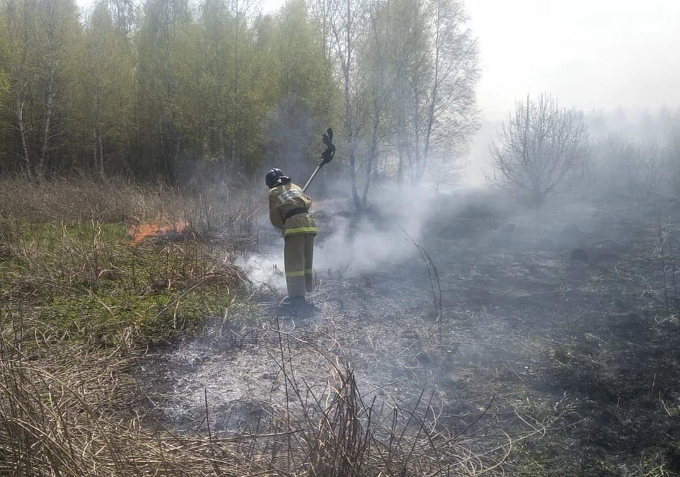 Сухая трава горела на площади в 2 гектара