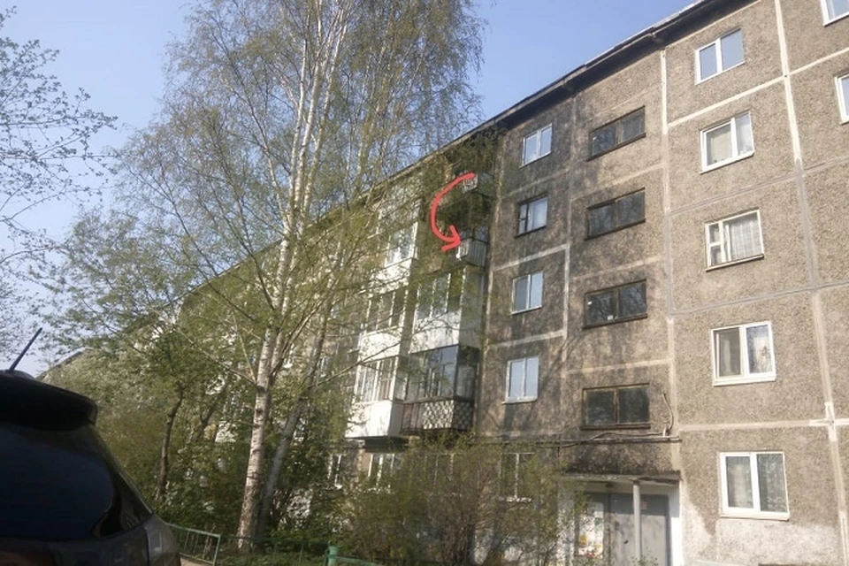 Фото: «ЗооСпас в Екатеринбурге»