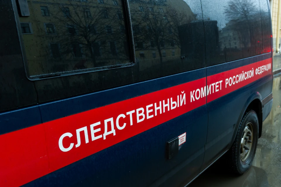 Сейчас расследование уголовного дела продолжается.