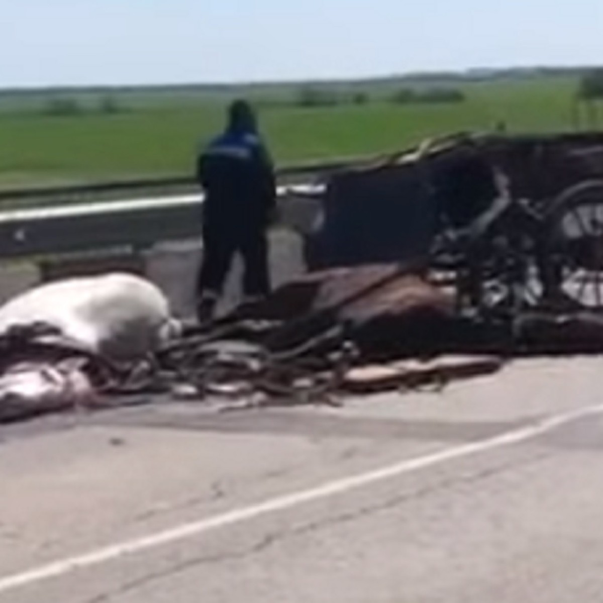 Появилось видео последствий смертельной аварии с лошадиной повозкой под  Волгодонском - KP.RU