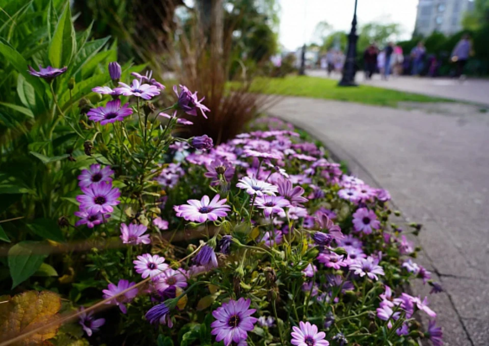 Фото: sochi.ru.