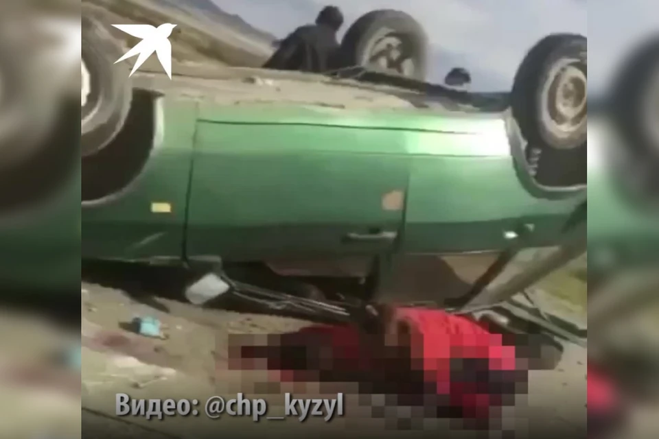 Фото: Скриншот с видео