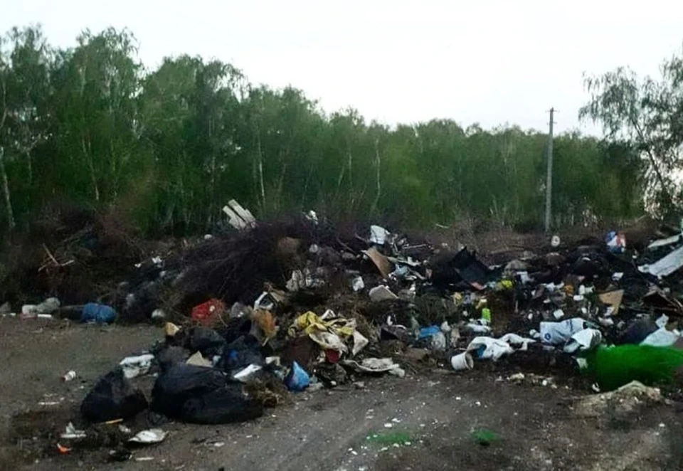 Леонид Полежаев пожаловался на горы мусора в километре от поселка, где он живет.