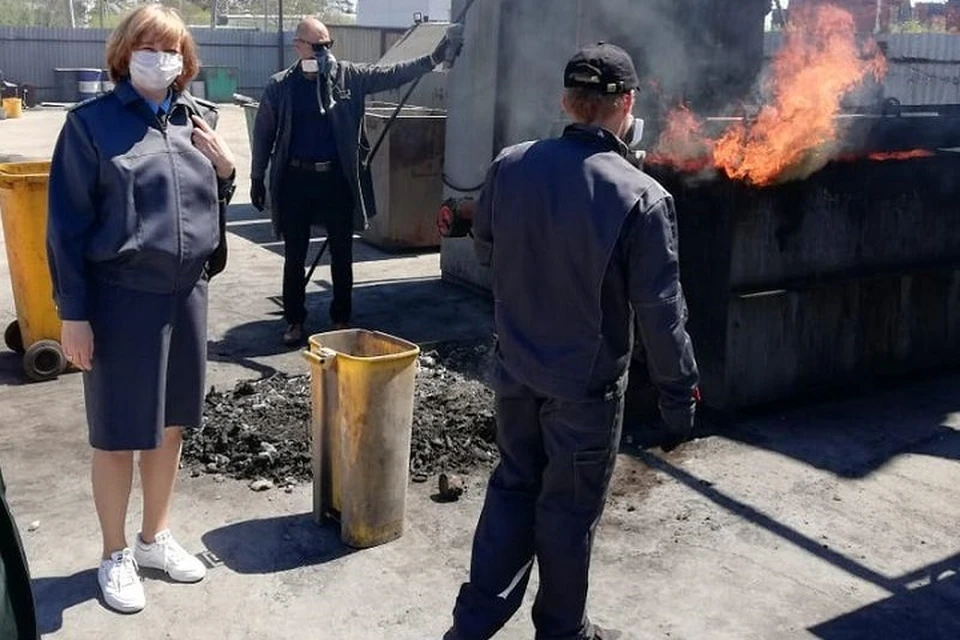 Американский трипс сгубил партию гвоздик в Хабаровске. Фото: пресс-служба управления Россельхознадзора по Хабаровскому краю, Еврейской автономной и Магаданской областям.