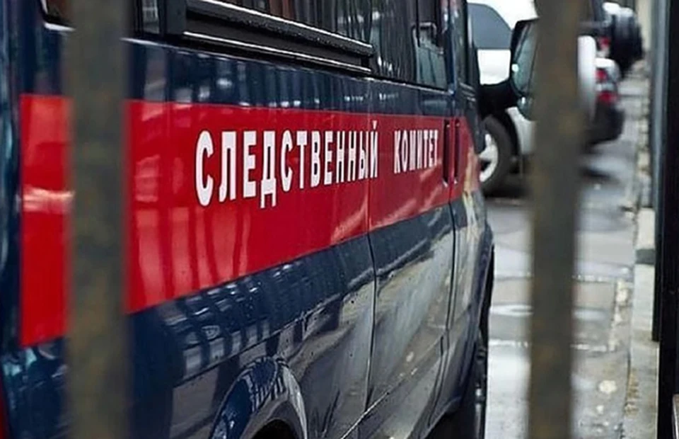 6-летняя девочка в Нижнем Новгороде стала жертвой отчима-педофила.