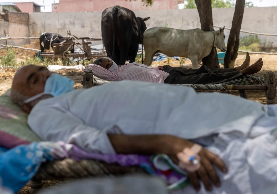 В Индии два штата объявили об эпидемии «черной плесени»