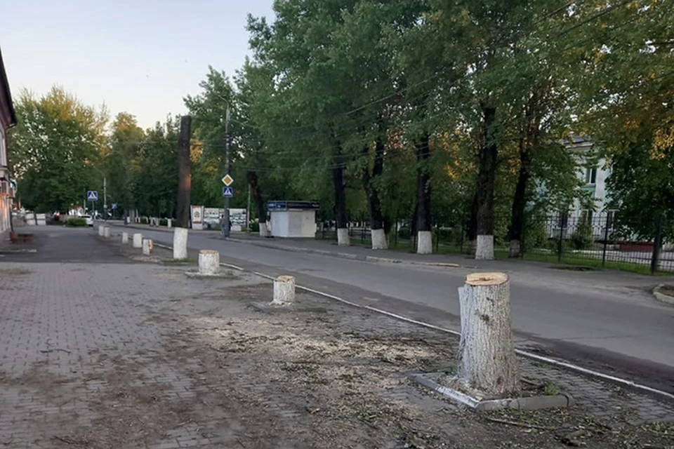 Погода в брянске володарском районе