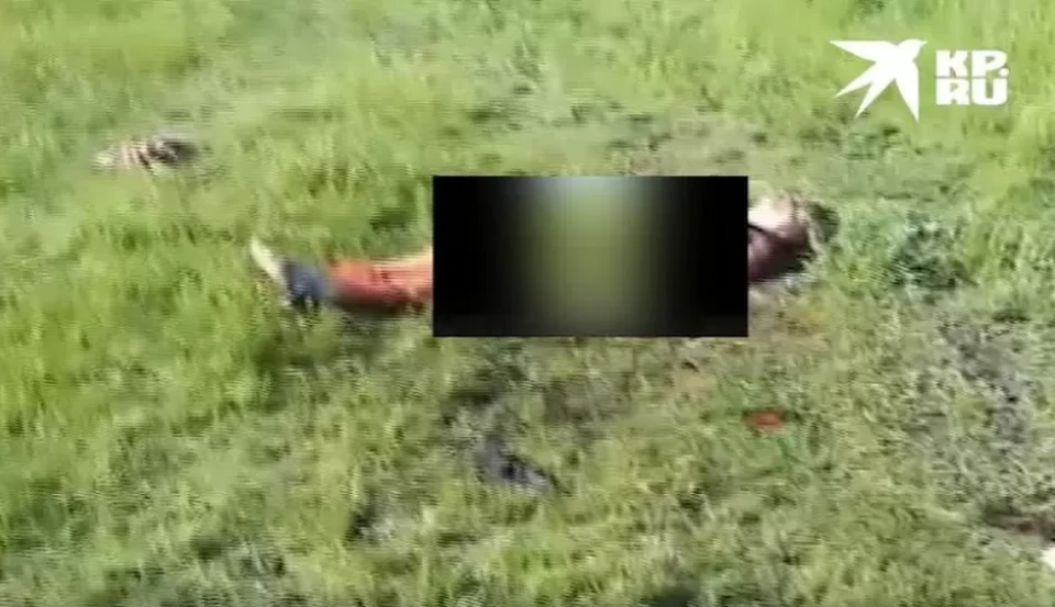 Пострадавшую ввели в кому, но из нее она так и не вышла