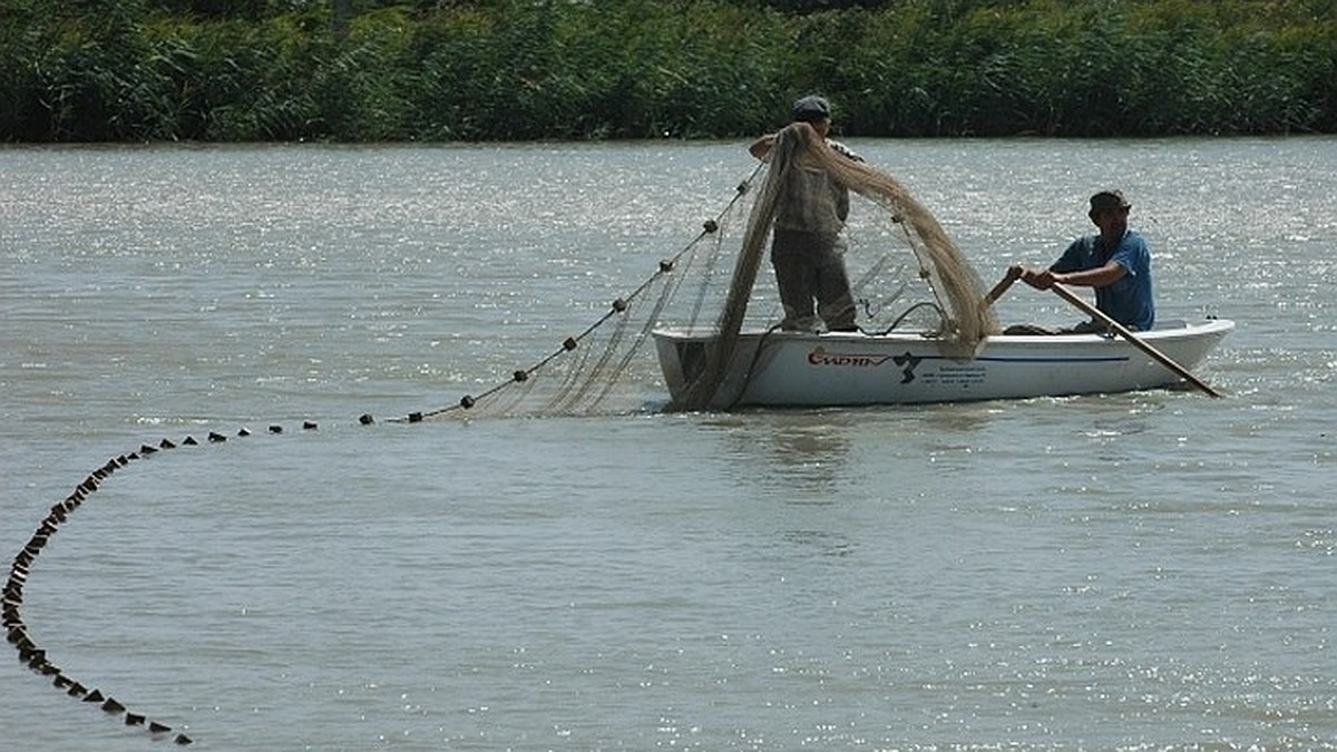 jaring untuk menangkap ikan