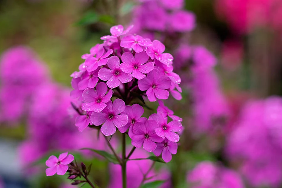 В Ижевске сегодня будет жарко! Фото: pixabay.com