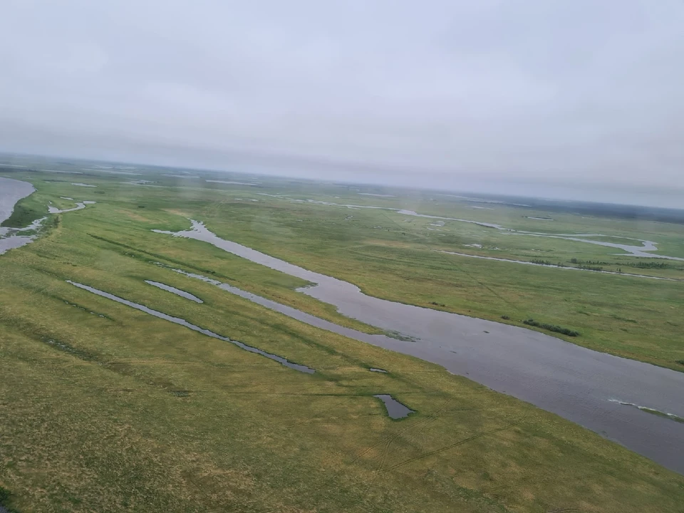 Погода в Югре на 31 мая 2021 года: небольшой дождь
