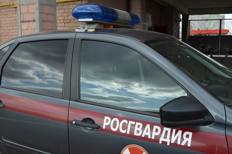 Магазинных воров задержали силовики