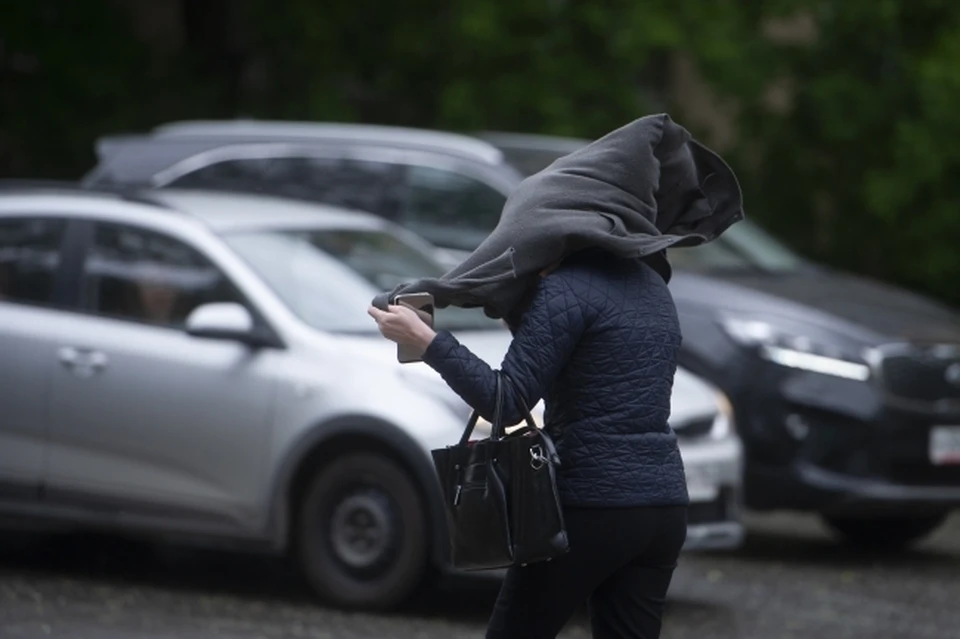 Во время урагана не стоит парковать авто под деревьями.