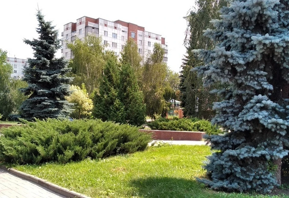 На сегодняшний день уже обработано 40,5 гектаров