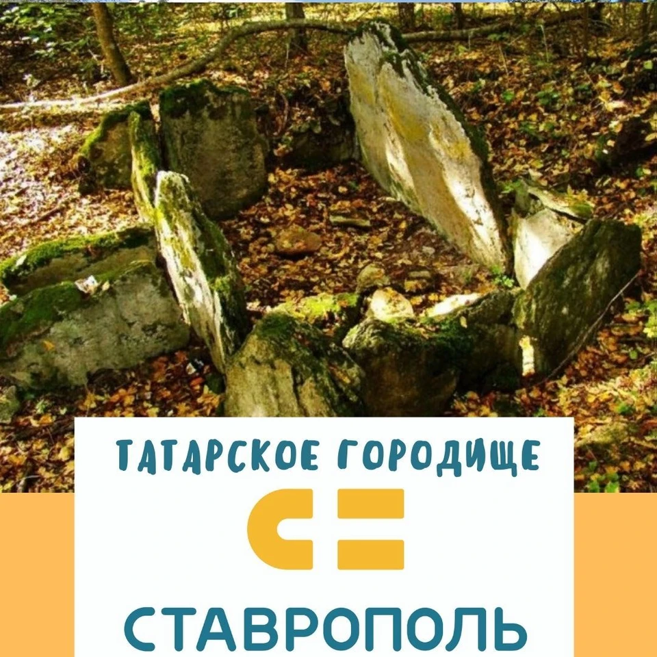 Фото: пресс-служба администрации Ставрополя